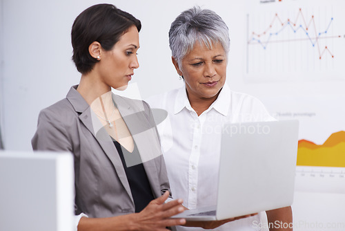 Image of Teamwork, laptop and business women with data analysis, company growth and analytics review for online research. Charts, graphs and statistics of digital employees or people with focus on computer