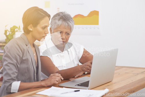 Image of Planning, teamwork and business women on laptop for digital analytics, data analysis or review online report. Professional people reading results on computer with focus, solution or problem solving