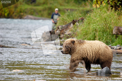 Image of Bear and a fisherman