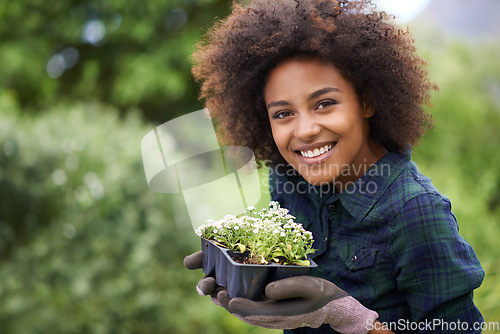 Image of Black woman is gardening, plant and smile in portrait, botany mockup and environment with young gardener and flowers. Happy female person is outdoor with green fingers, growth and plants in garden