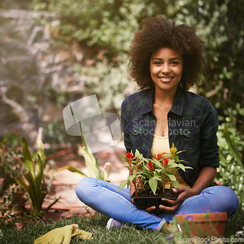 Image of Black woman with plant in garden, smile in portrait with gardening and flower, botany and young gardener outdoor. Happy female person with growth, environment and plants in nature with landscaping