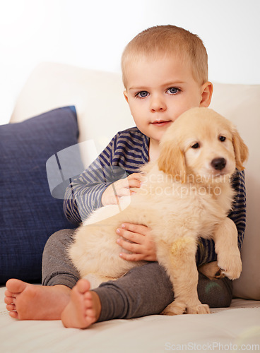 Image of Portrait, golden retriever or a dog and happy child together for love, care and development. Face of a cute kid and animal, puppy or pet playing as friends on the home sofa or living room to relax