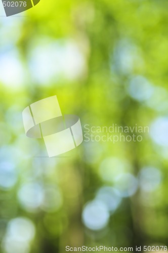 Image of Green background