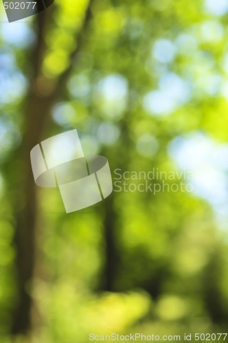 Image of Green background