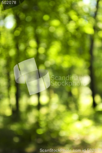 Image of Green background