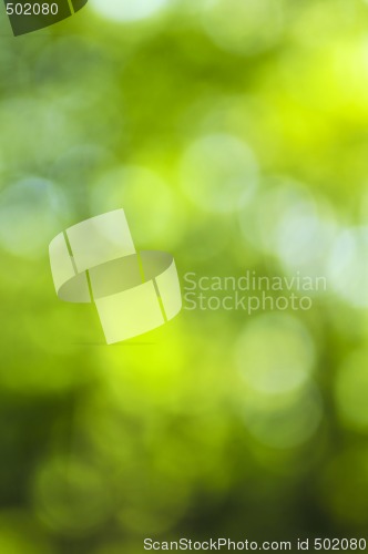 Image of Green background