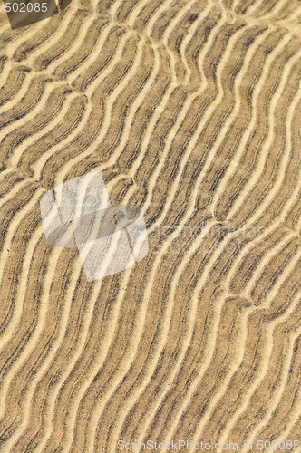 Image of Sand ripples in shallow water