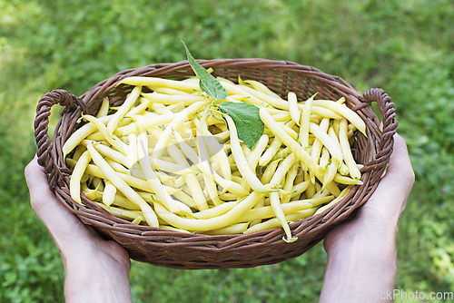 Image of Yellow wax beans