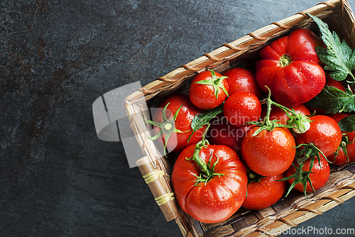 Image of Tomatoes