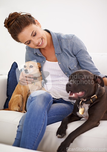 Image of Woman, sofa and smile with pet dogs for care, love and bonding in home living room, playing and together. Girl, animal family and relax on lounge couch with happiness, lifestyle and cuddle in house