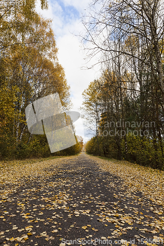 Image of asphalt road