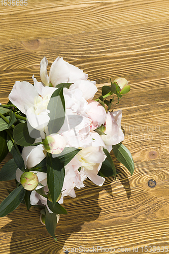 Image of light peonies