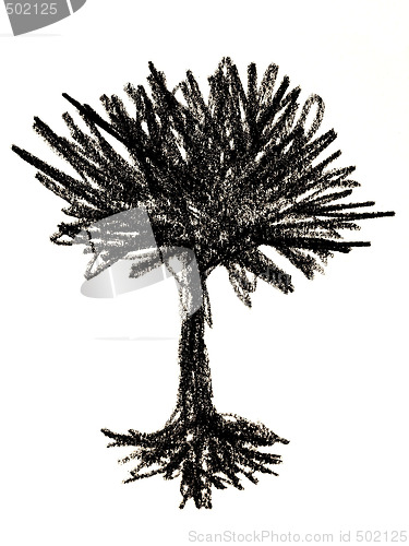 Image of tree