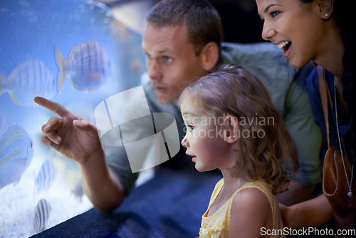 Image of Family, aquarium and girl looking at fish for learning, curiosity and knowledge, education and bonding. Mother, oceanarium and happy child with father watching marine life underwater in fishtank.