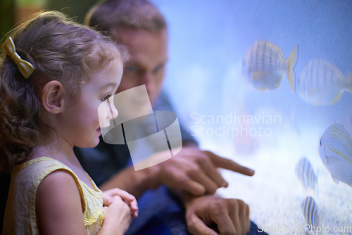 Image of Dad, aquarium and girl looking at fish for learning, curiosity and knowledge, education and bonding. Father, oceanarium and child with parent watching marine life underwater in fishtank on vacation.