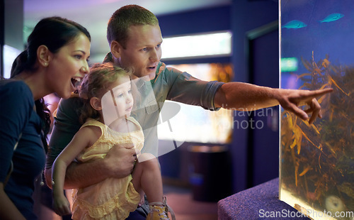 Image of Aquarium, family and happy child with fish for learning, curiosity or knowledge, bonding or education. Mother, fishtank and girl with father pointing at marine animals underwater in oceanarium.