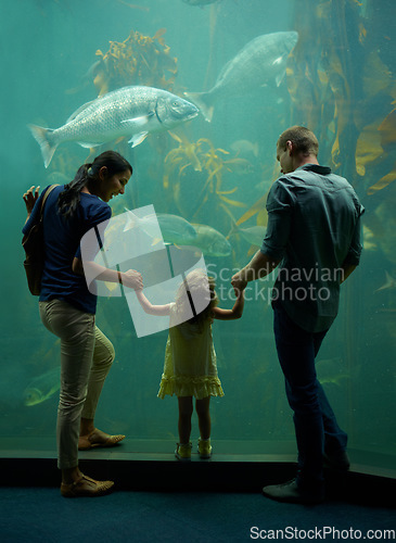 Image of Aquarium, family and holding hands while looking at fish for learning, care and vacation, bonding or education. Mother, fishtank and girl with father watching marine life underwater in oceanarium