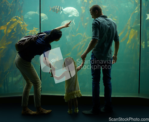 Image of Family, aquarium and holding hands while pointing at fish for learning, curiosity or knowledge, bonding or care. Father, fishtank and girl with mother watching marine animals underwater in back view.