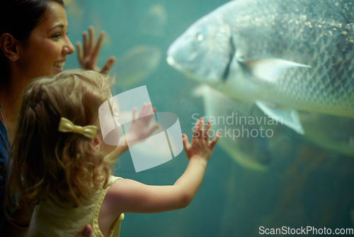 Image of Mother, aquarium and child looking at fish for learning, curiosity and knowledge, education and bonding. Mom, fishtank and happy girl watching marine life or animals swim underwater in oceanarium.