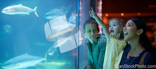 Image of Family, aquarium and girl pointing at fish for learning, curiosity or education, bonding or care. Mother, fishtank and happy kid with father watching marine animals swim underwater in oceanarium.