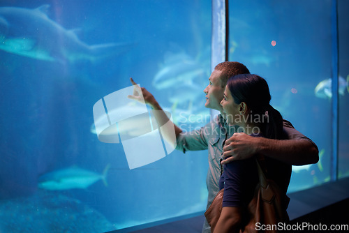 Image of Smile, aquarium and couple pointing at fish on vacation, holiday or date together. Happiness, oceanarium and man and woman watching marine life, animals swimming underwater in fishtank and hugging