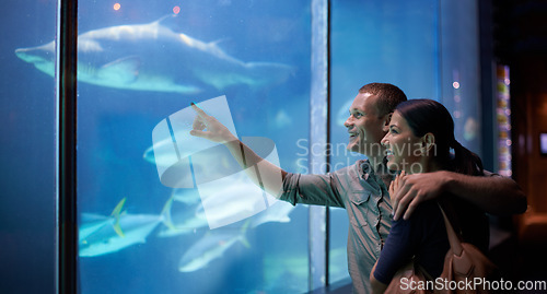 Image of Aquarium, happy and couple pointing at fish on vacation, holiday and date together. Smile, oceanarium and man and woman watching marine life, animals swimming underwater in fishtank and hugging.