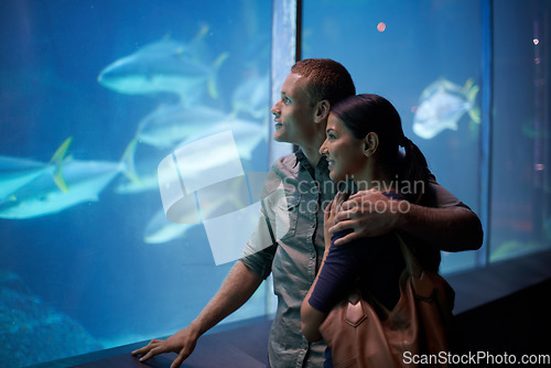 Image of Aquarium, happy and couple looking at fish on vacation, holiday or date together. Smile, oceanarium and man and woman watching marine life, animals swimming underwater in fishtank and hugging.