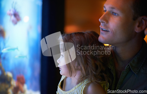 Image of Father, aquarium and child looking at fish for learning, curiosity and knowledge, education and bonding together. Dad, fishtank and girl watching marine life or animals swim underwater in oceanarium.