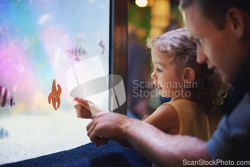 Image of Father, aquarium and girl pointing at fish for learning, curiosity and knowledge, education and bonding. Dad, oceanarium and child with parent watching marine life underwater in fishtank on vacation.