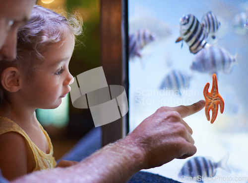 Image of Father, aquarium and girl pointing at starfish for learning, curiosity or knowledge, bonding and nature. Dad, fishtank and kid watching marine animals swim underwater in oceanarium for education.