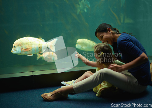 Image of Mother, aquarium and girl pointing at fish for learning, curiosity or knowledge, nature and bonding together. Mom, fishtank and happy kid watching marine life or animals swim underwater in oceanarium