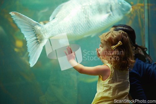 Image of Mother, aquarium and girl looking at fish for learning, curiosity and knowledge, bonding and nature. Mom, fishtank and kid watching marine life or animals swim underwater in oceanarium on vacation.