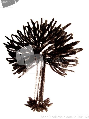 Image of tree