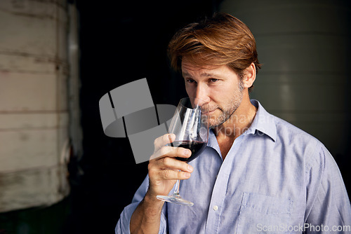 Image of Wine, smell and man with a glass in a distillery on a farm for the production or fermentation of alcohol. Cellar, industry and scent with a mature male farmer smelling a beverage for quality control