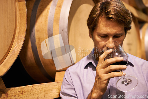 Image of Wine, taste and a man in the cellar of a distillery on a farm for the production or fermentation of alcohol. Glass, industry and barrel with a male farmer drinking a beverage for quality control