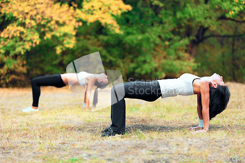 Image of Women, exercise stretching and workout in a outdoor park for yoga and fitness. Health, wellness and balance of female friends in nature on grass feeling happy and relax from body care and sport