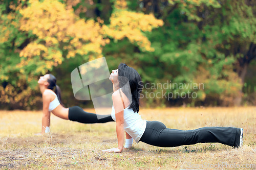 Image of Women, yoga stretching and training in a outdoor park for exercise and fitness. Health, wellness and sports stretch start of female friends in nature on grass feeling calm from body care to relax