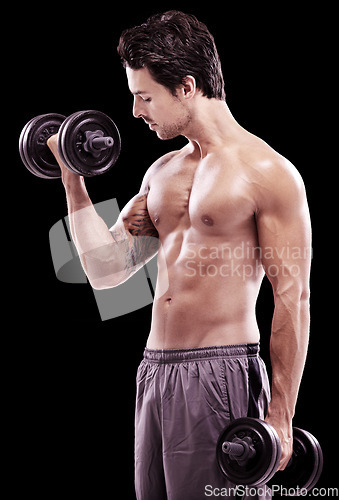 Image of Strong man, dumbbell and workout on black background, dark studio and energy for sexy six pack abs. Bodybuilder, sports athlete and curling biceps with weights for fitness, exercise and muscle growth