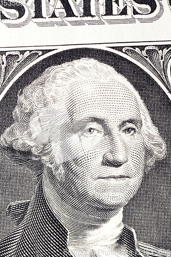 Image of American dollars