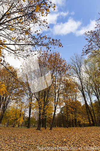 Image of features of autumn weather