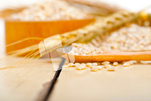 Image of organic barley grains