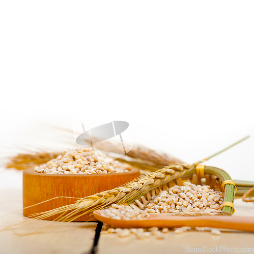 Image of organic barley grains