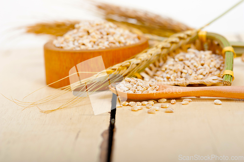 Image of organic barley grains