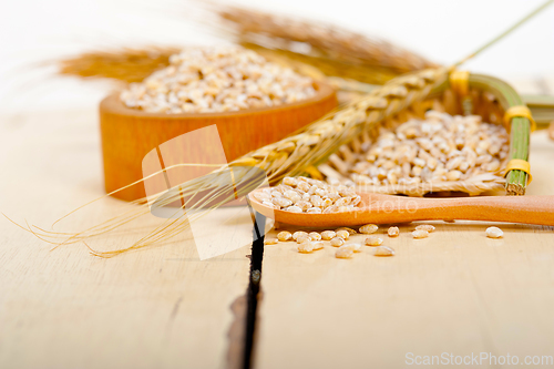 Image of organic wheat grains