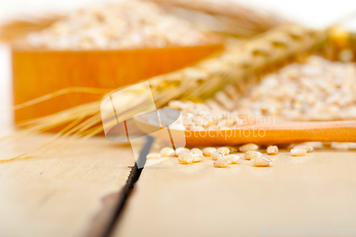 Image of organic wheat grains