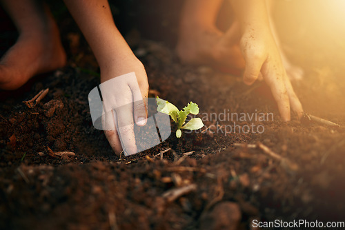 Image of Hands, plant and boy with soil, garden and nature with environment, sustainability or leaves. Zoom, male child or young person with sand, growth or eco friendly with clean energy, closeup and ecology