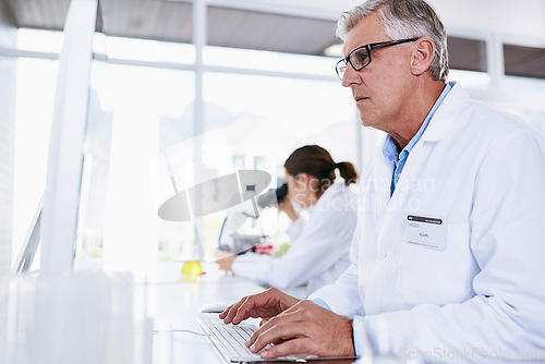 Image of Scientist, man and computer in science research, experiment or data results at laboratory. Senior male typing in medical healthcare working on pc or technology in forensic or scientific lab for cure