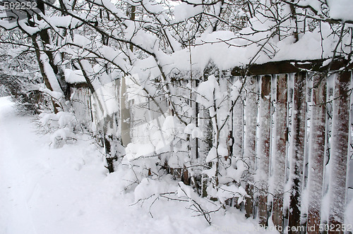 Image of yard at winter