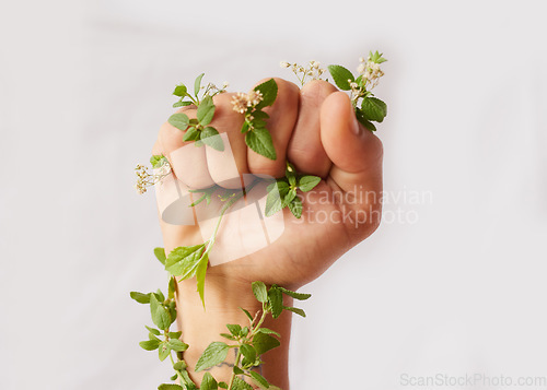 Image of Woman hand, nature growth and fist for eco warrior, fight and revolution for sustainability protest. White background, studio and person with leaf and green plant in hands for environment rally