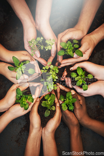 Image of Hands together, dirt and plants growth with sustainability and community work. People, top green leaf and environment project for gardening, farming and sustainable eco soil for agriculture leaves